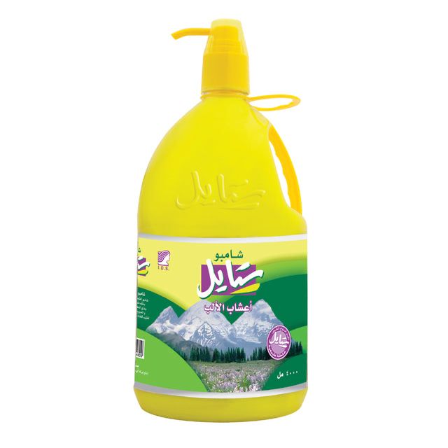 شامبو ستايل 4 لتر